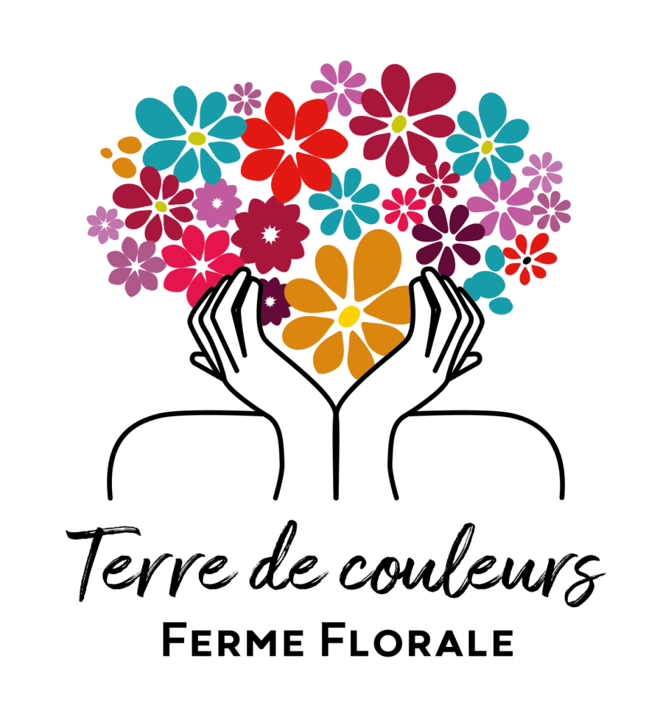 Logo Terre de Couleurs, ferme florale bio en Mayenne