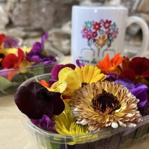 Fleurs comestibles de Terre de couleurs