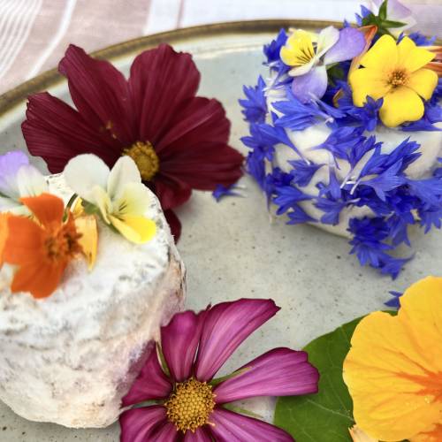 Fromages aux fleurs comestibles de Terre de couleurs