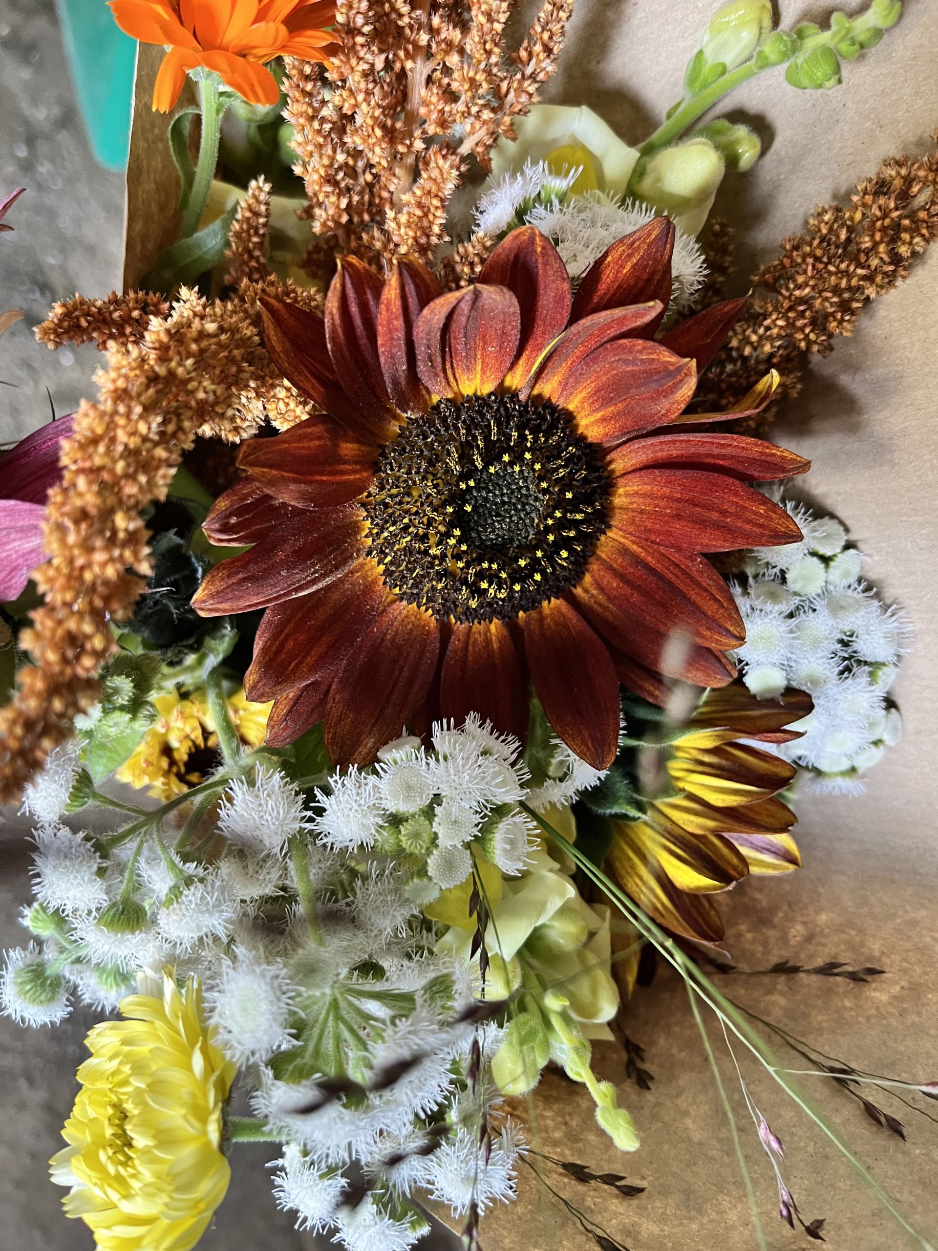 Bouquet de fleurs Terre de couleurs