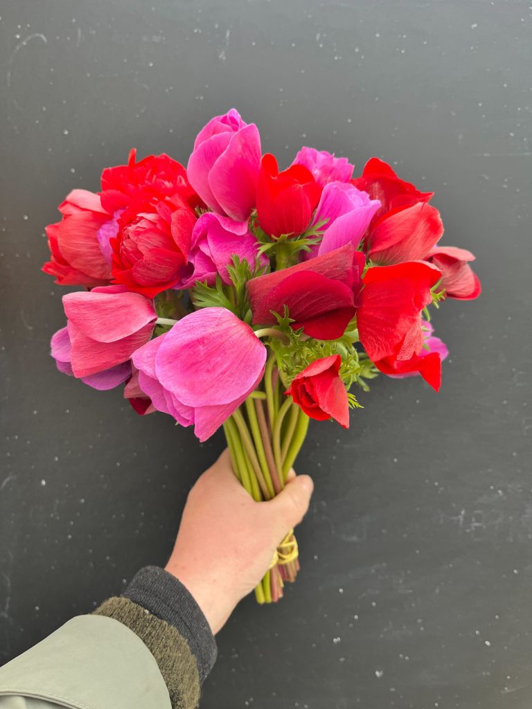 Bouquet de fleurs fraîches de Terre de couleurs