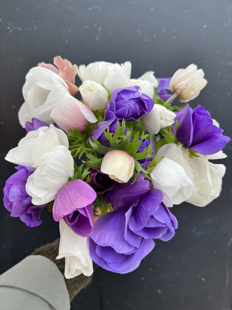 Bouquet de fleurs fraîches de Terre de couleurs