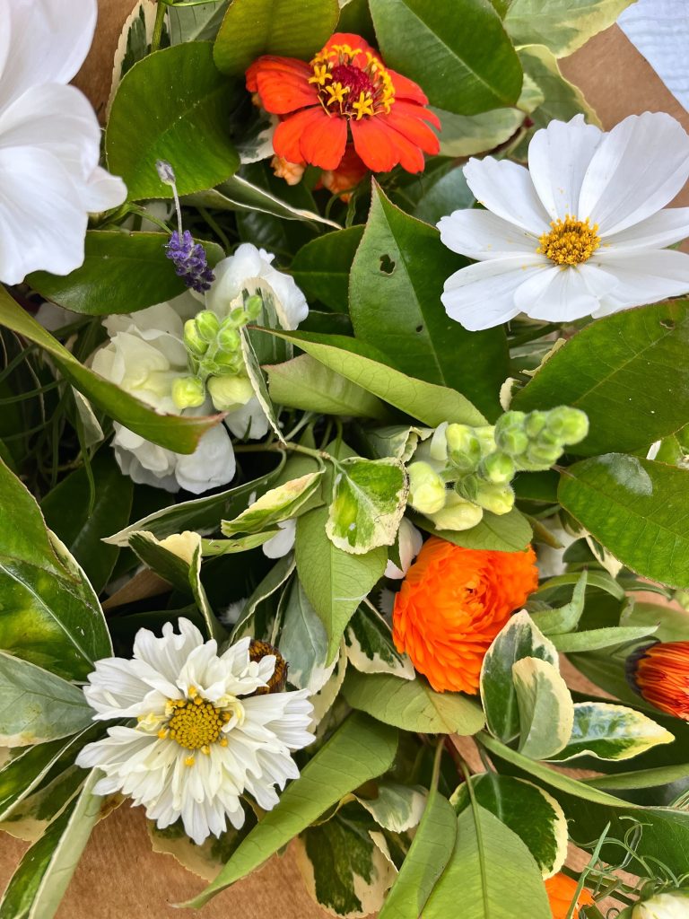 Bouquet de fleurs fraîches de Terre de couleurs