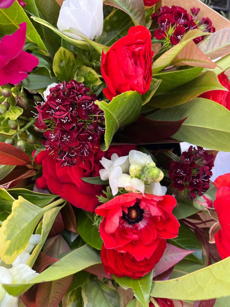 Bouquet de fleurs fraîches de Terre de couleurs