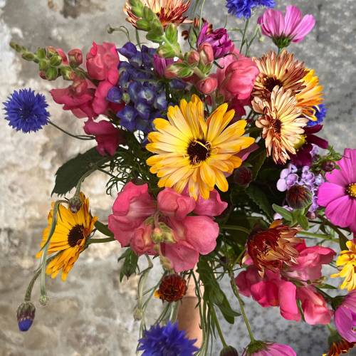 Bouquet de fleurs Terre de couleurs