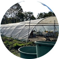 Irrigation des cultures