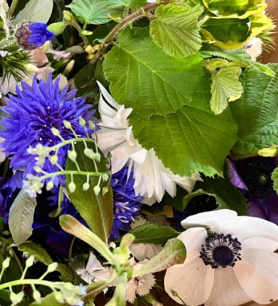 Respect du rythme du cycle naturel des fleurs