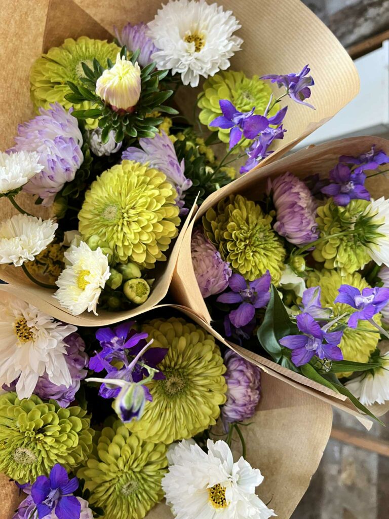 Bouquet de fleurs fraîches de Terre de couleurs