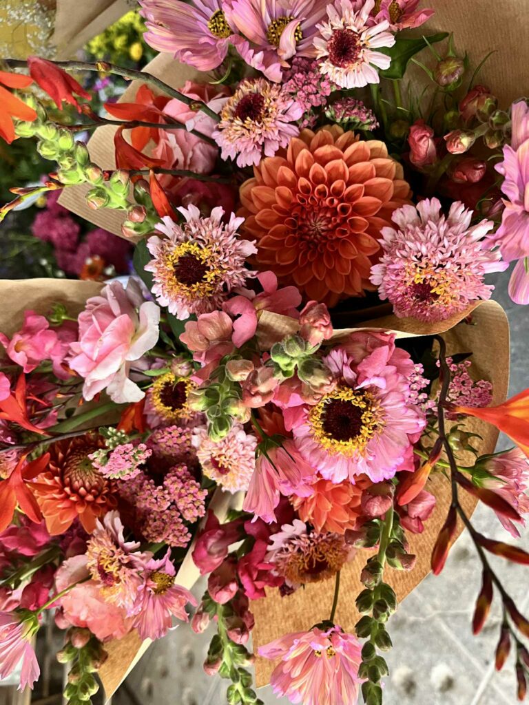 Bouquet de fleurs fraîches de Terre de couleurs