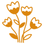 bouquets bio et locaux